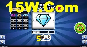 s29